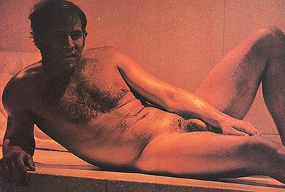Not Don stroud naked pics think Don stroud naked pics opinion, interesting